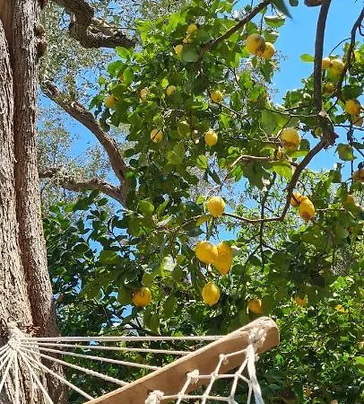 Rita Oda ve Kahvaltı Sorrento