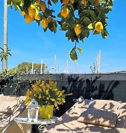 Rita فندق مبيت وإفطار سورينتو
