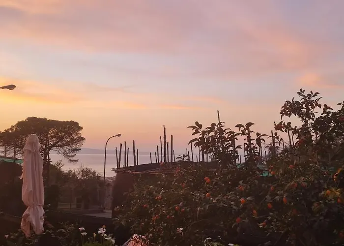 Rita Готель типу 