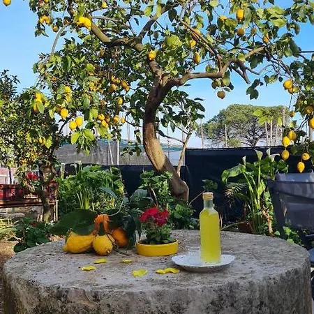 Rita Bed & Breakfast