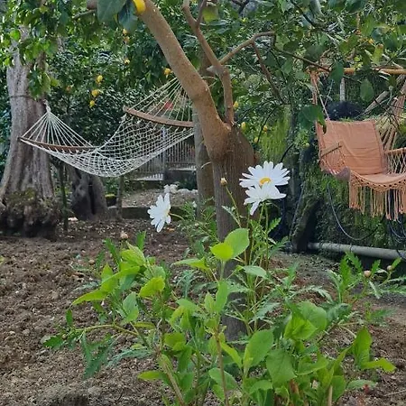 Bed and breakfast Rita Península Sorrentina