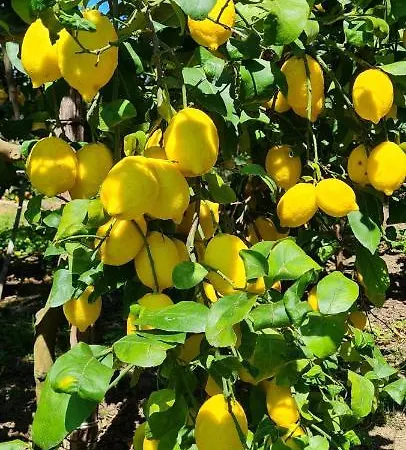 Bed & Breakfast Rita 3*