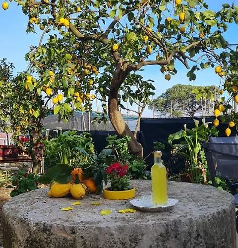 Rita Oda ve Kahvaltı