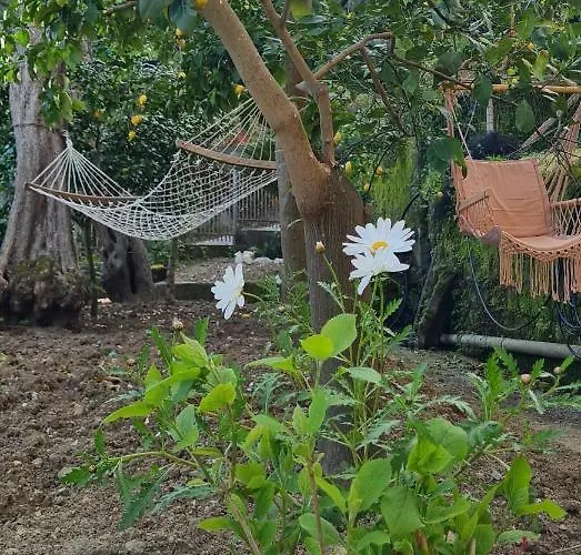 Oda ve Kahvaltı Rita Sorrento