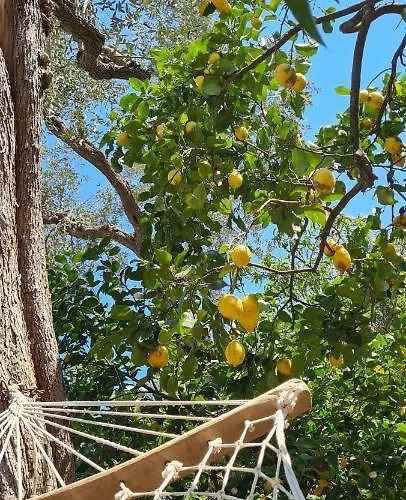 Rita Oda ve Kahvaltı Sorrento